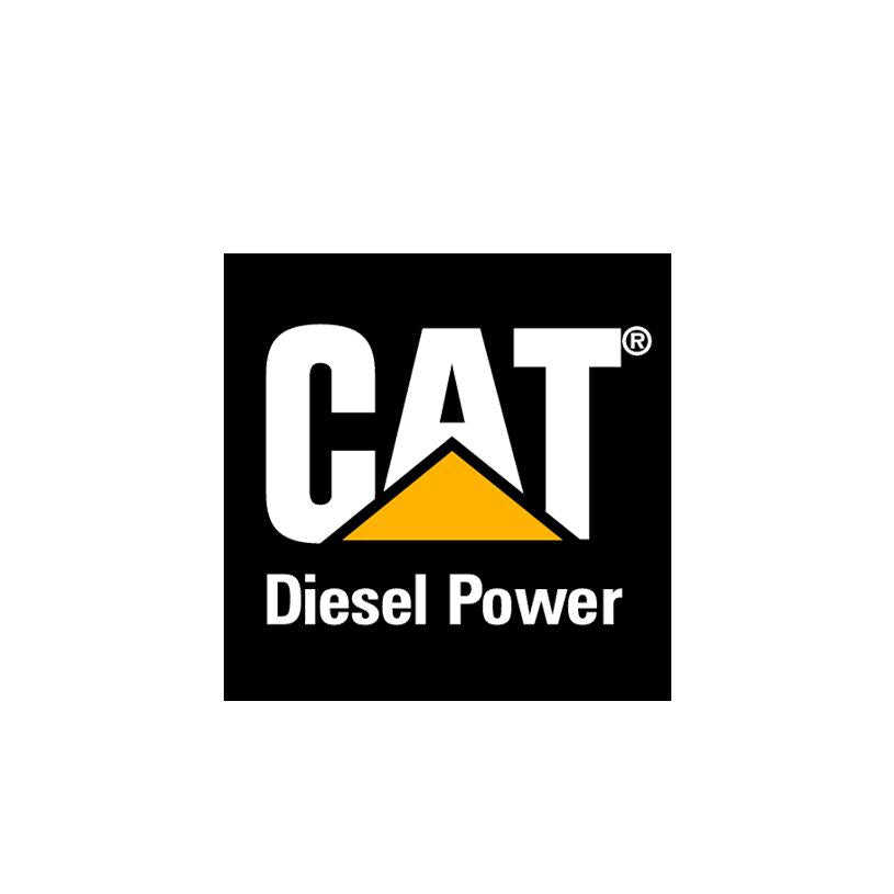 CAT-Dirty Diesel Customs