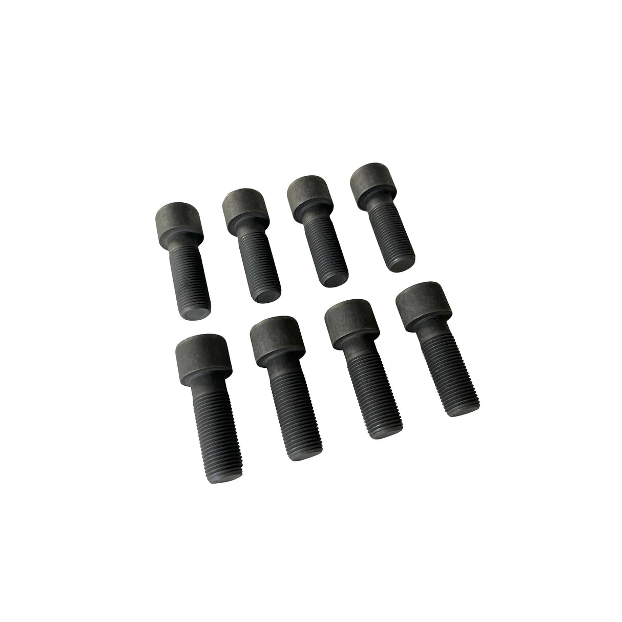 2001-2022 Duramax Flexplate Bolt (8-Pack) (11610965-8)-Flex Plate Hardware-Merchant Auto-Dirty Diesel Customs