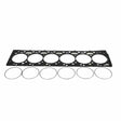 2003-2007 Cummins Fire Ring Gasket Kit (PDM-54557A)-Fire Ring Gasket-Industrial Injection-Dirty Diesel Customs