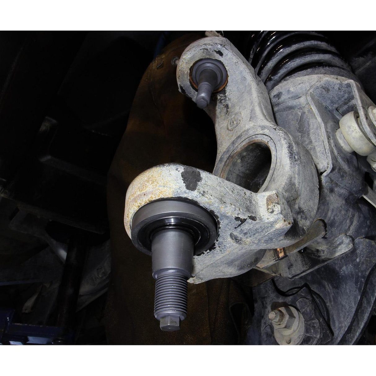 2013-2024 Cummins Extreme-Duty Ball Joint Package (CS-DBJP-14)-Ball Joints-Carli Suspension-Dirty Diesel Customs