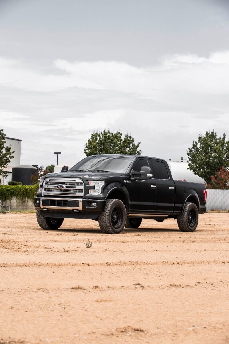 2015-2020 F-150 2.5" Front Standard Leveling Kit (120-91059)-Leveling Kit-Cognito Motorsports-Dirty Diesel Customs