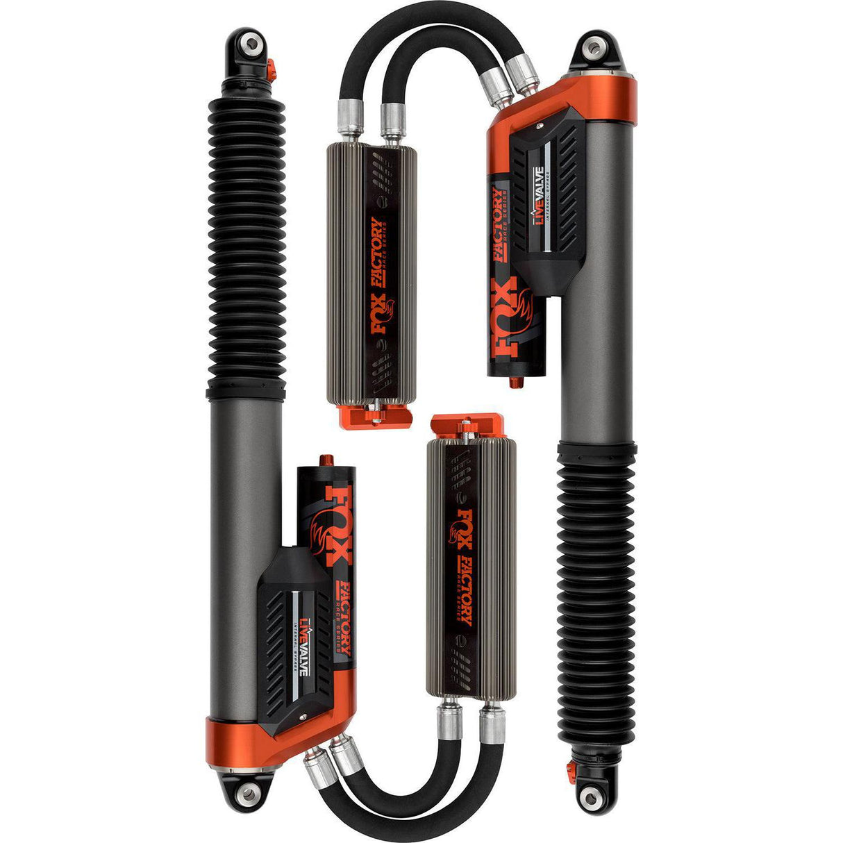 2019-2020 Raptor 3.0 Race Series 0-1" Lift Internal Bypass Rear Coilovers (883-09-153)-Coilovers-FOX-Dirty Diesel Customs