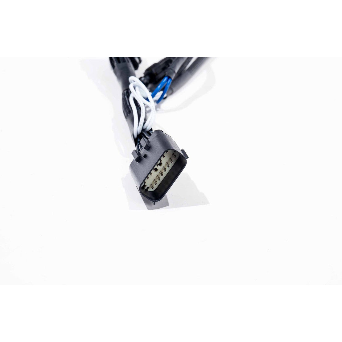 2021-2023 F-150 XBG OEM Projector LED Adapter Harness (XBG21H)-Lighting Harness-Morimoto-Dirty Diesel Customs