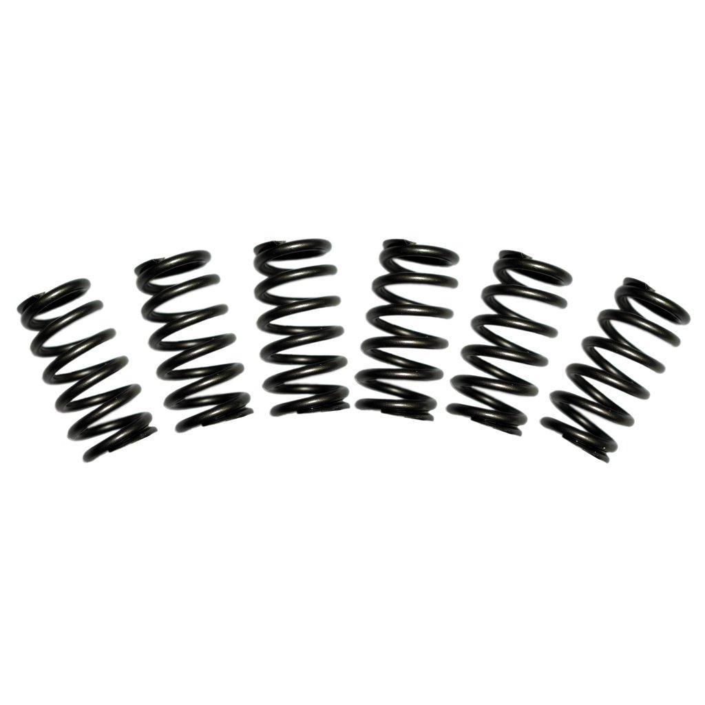 1988-1998 Cummins 60lb Valve Spring Kit (1030060)-Valve Springs-BD Diesel-Dirty Diesel Customs
