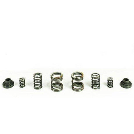 1994-1998 Cummins Governor Spring Kit (HP10029)-Governor Springs-PACBRAKE-Dirty Diesel Customs