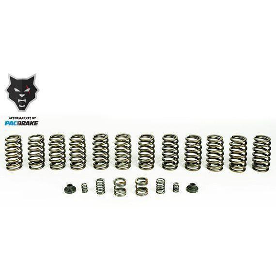 1994-1998 Cummins Valve & Governor Spring Kit w/ 12 Springs (HP10245)-Valve Springs-PACBRAKE-Dirty Diesel Customs