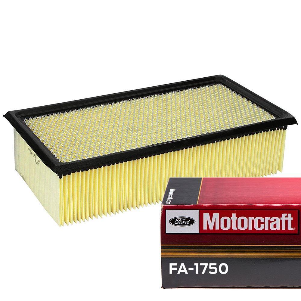 1999.5-2003 Powerstroke OEM Motorcraft Air Filter (FA1750)-Air Filter-Motorcraft-Dirty Diesel Customs