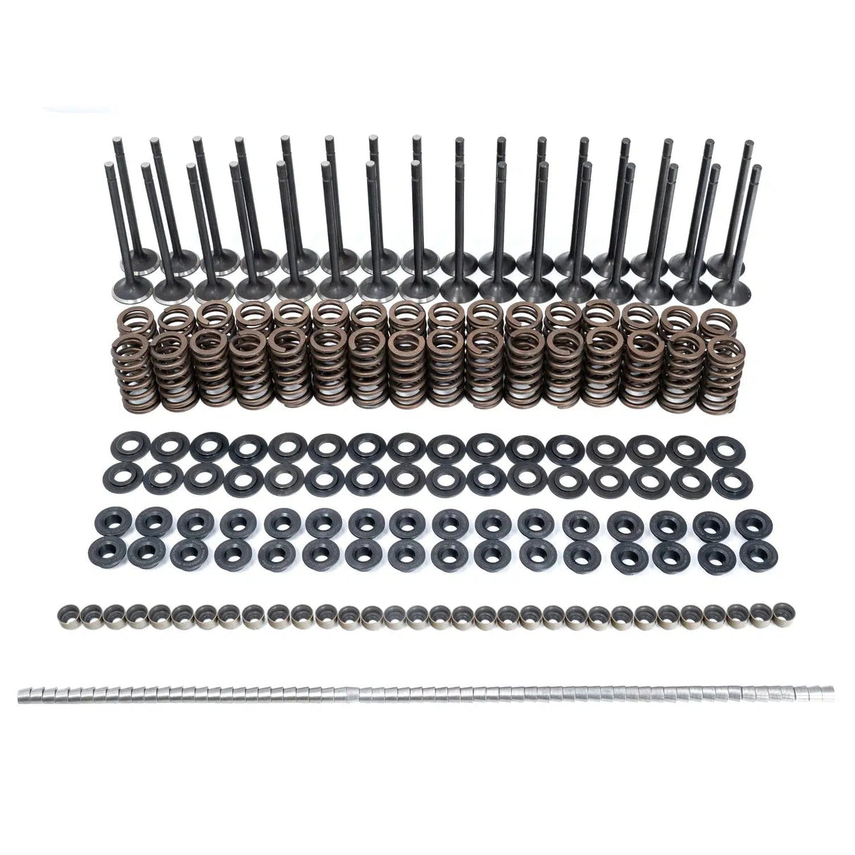 2001-2016 Duramax Valve & Spring Kit (110090080)-Valve Springs-PPE-Dirty Diesel Customs
