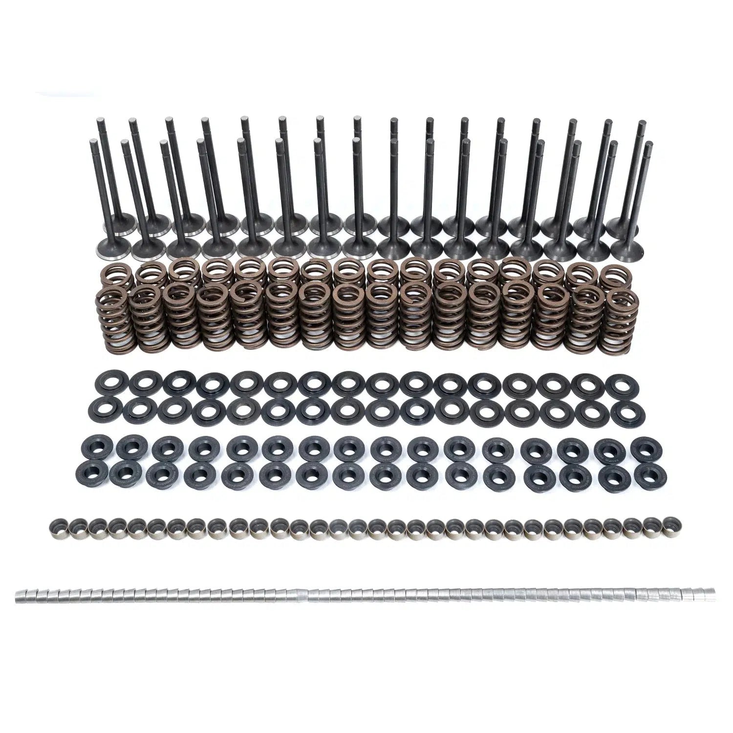 2001-2016 Duramax Valve & Spring Kit (110090080)-Valve Springs-PPE-Dirty Diesel Customs