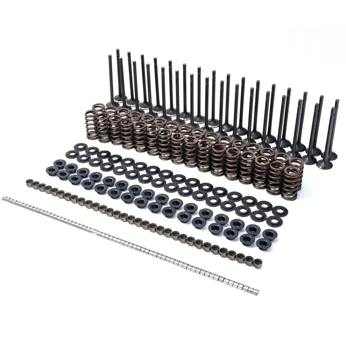 2001-2016 Duramax Valve & Spring Kit (110090080)-Valve Springs-PPE-Dirty Diesel Customs