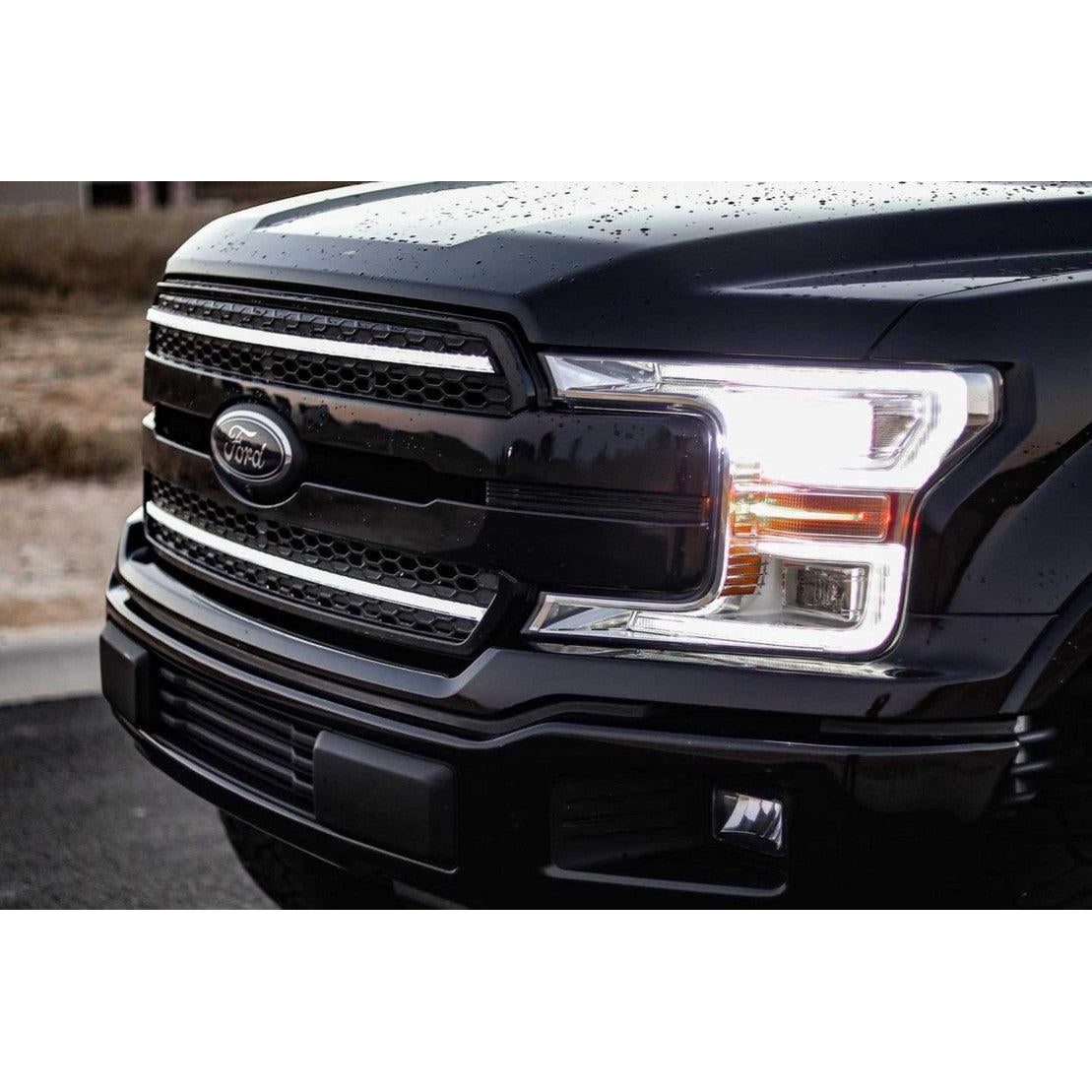 2018-2020 F-150 XBG LED DRL Grille (XBG15)-LED Grille-Morimoto-Dirty Diesel Customs