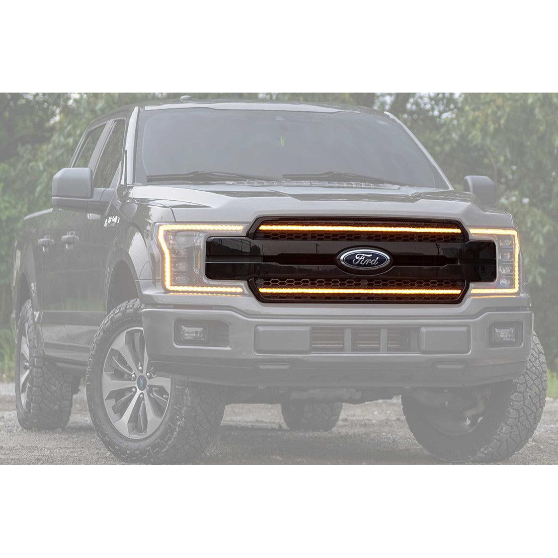 2018-2020 F-150 XBG LED DRL Grille (XBG15)-LED Grille-Morimoto-Dirty Diesel Customs