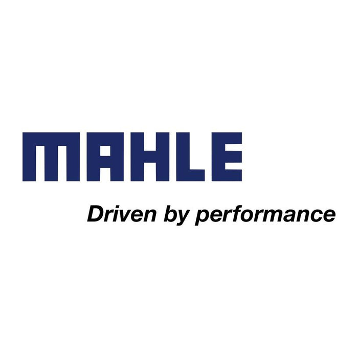 Mahle