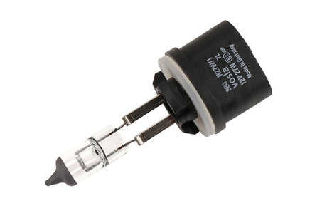 2006-2007 Duramax Fog Light Bulb (13590791)