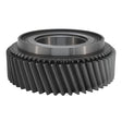 1987-1995 Powerstroke Manual Transmission ZF S542 2nd Gear, 51 Tooth (ZMZF42-21)-Transmission Components-USA Standard Gear-Dirty Diesel Customs