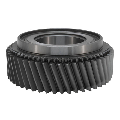 1987-1995 Powerstroke Manual Transmission ZF S542 2nd Gear, 51 Tooth (ZMZF42-21)-Transmission Components-USA Standard Gear-Dirty Diesel Customs