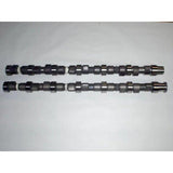 1989-2018 Cummins Big Stick Stage 3 Cast Billet Camshaft (C.343.S)-Camshafts-Colt Cams-Dirty Diesel Customs