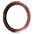 1992-2007 Duramax & 1992-2005 Cummins Manual Transmission 3rd & 4th Synchro Ring Blockers (ZMSR24025)-Transmission Components-USA Standard Gear-Dirty Diesel Customs