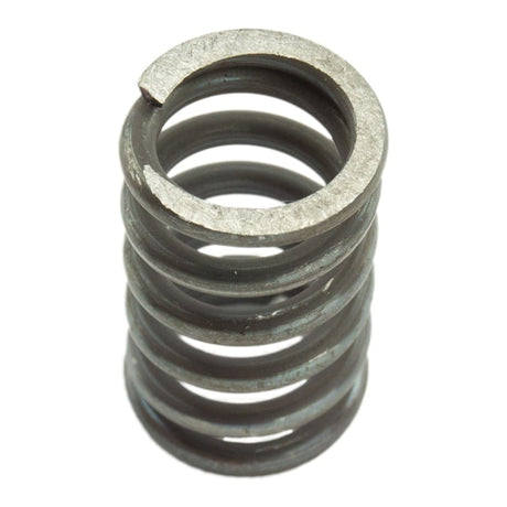 1994-1998 Cummins 3K Governor Springs (232614)-Governor Springs-Industrial Injection-Dirty Diesel Customs