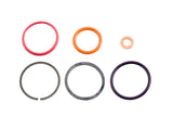1994-2003 Powerstroke HEUI Injector Seal Kit (AP0001)-Injector Seal Kit-Alliant Power-Dirty Diesel Customs