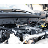 2023-2024 F-Series E-Venture 3" Lift Kit (CS-FLVL-EV25-23-GAS)-Lift Kit-Carli Suspension-Dirty Diesel Customs