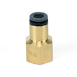 Universal Straight Fitting 1/4" PTC x 1/4" FNPT (21810)