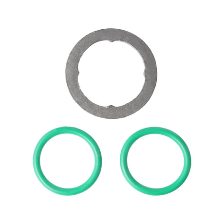 2004-2007 Powerstroke O-ring & Gasket Kit for EGR Valve (316160000)