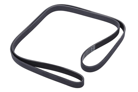 2019-2024 3.0L Duramax Serpentine Belt (55490583)