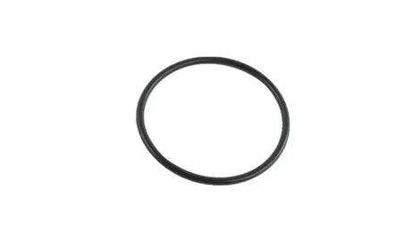 2014-2019 EcoDiesel Thermostat Housing Gasket (68157217AA)