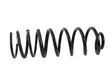 2020-2023 EcoDiesel RR Coil Spring (68262661AC)