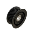 2014-2023 EcoDiesel Idler Pulley (68459077AA)