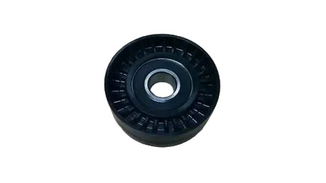 2020-2023 EcoDiesel Idler Pulley (68483661AA)