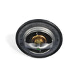 2019-2024 Cummins Thermostat (68534176AA)