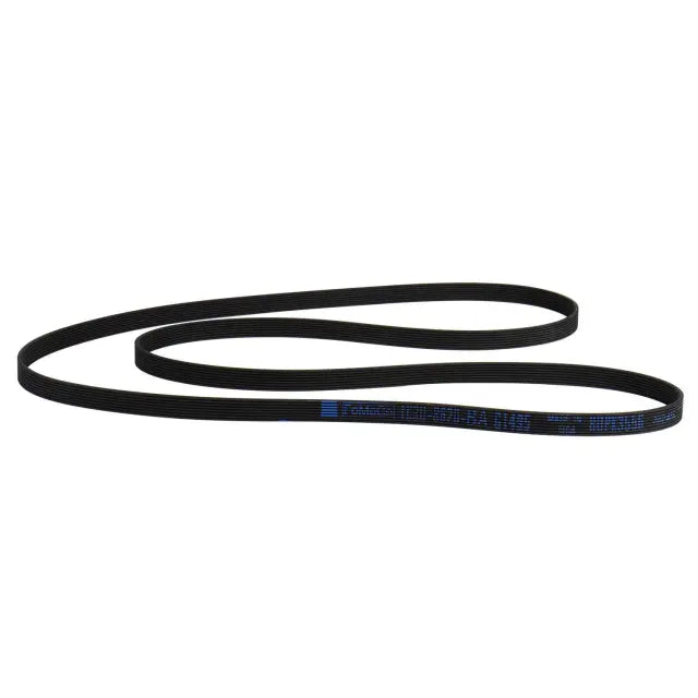 2020-2024 Powerstroke Dual Alternator Serpentine Belt