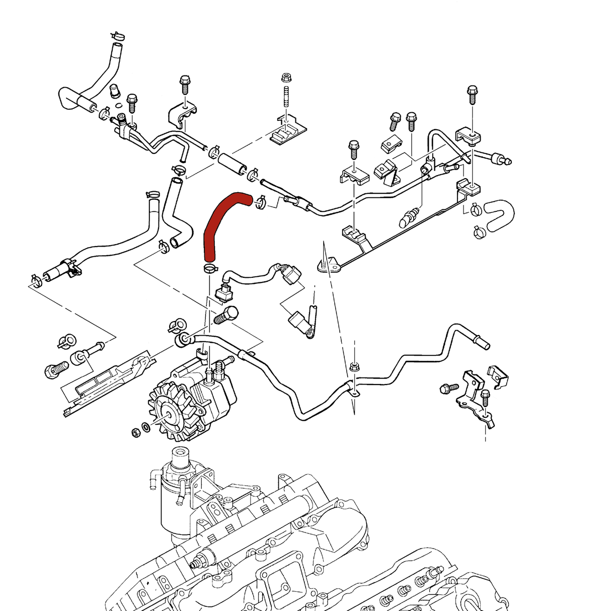 2004-2005 Duramax CP3 Injection Pump Return Hose (DMAX-1372)