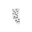 Dirty Diesel Socks-Socks-Dirty Diesel Customs-DDC-SOCKS-WHT-PAT-Dirty Diesel Customs