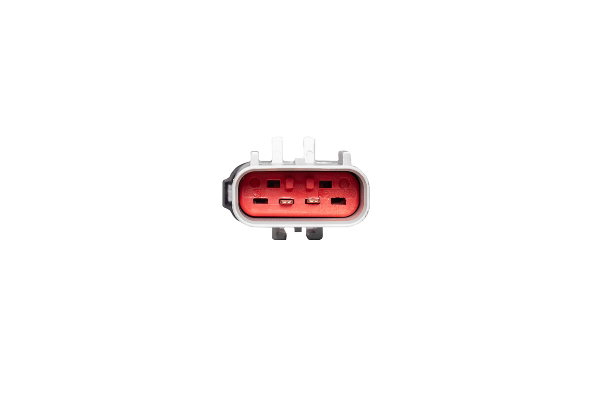 2019-2024 Cummins WIF Sensor Adapter Harness (FPE-HAR-CUMM-WIF-1924)
