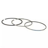 2011-2019 Powerstroke Piston Ring Set