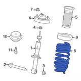 2018-2021 3.0L Powerstroke w/o Sport Suspension Front Coil Spring