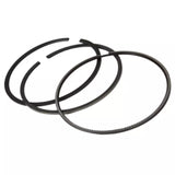 2008-2010 Powerstroke Piston Ring Set