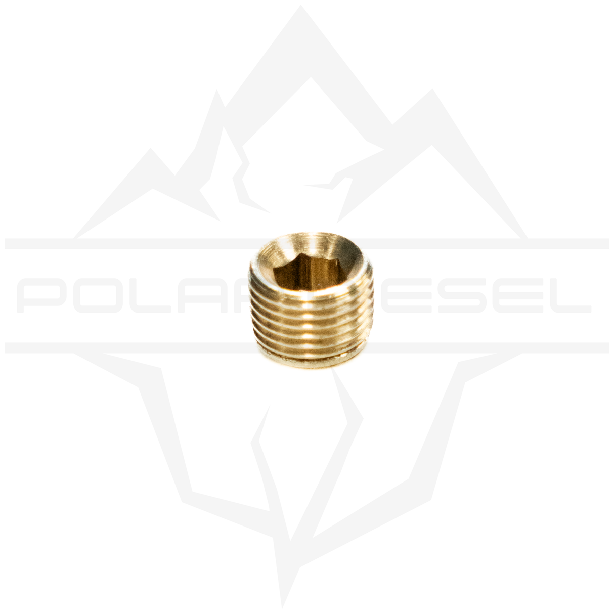 Polar Diesel 1/8th NPT Plug (PD-18P)