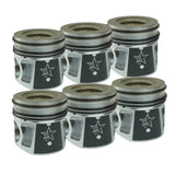 2007.5-2018 Cummins 6.7L 24V QSB X-Series Pistons (24T117)