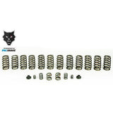 1994-1998 Cummins Valve & Governor Spring Kit w/ 12 Springs (HP10245)-Valve Springs-PACBRAKE-Dirty Diesel Customs