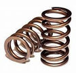 1999-2018 Cummins Competition Springs (07-s-110)-Valve Springs-Hamilton Cams-Dirty Diesel Customs