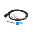 2005-2016 Powerstroke High Idle Switch (1036610)-High Idle Kit-BD Diesel-Dirty Diesel Customs