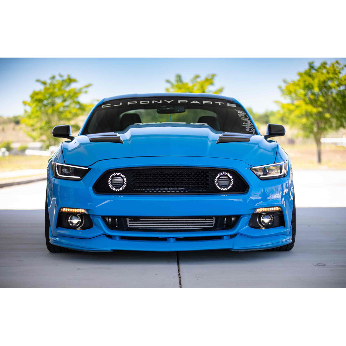 2015-2017 Ford Mustang XB LED Smoked Signals (LF411)-Turn Signal-Morimoto-Dirty Diesel Customs